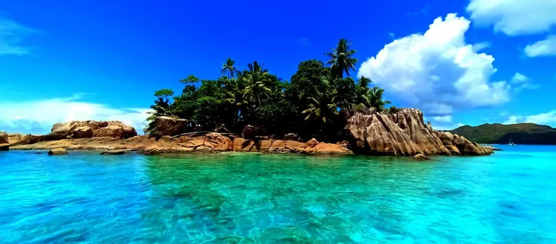 Travelers swimming in the turquoise waters off Curieuse Island on a seychelles boat tour from Praslin with giant tortoises on the beach