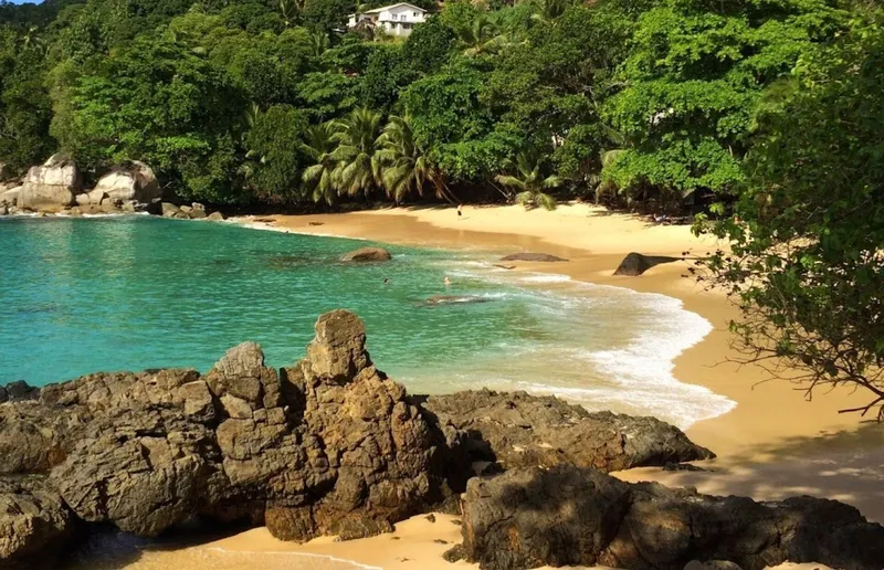 A small speedboat on turquoise waters near a white-sand beach on a half-day seychelles boat tour from Victoria, Mahé